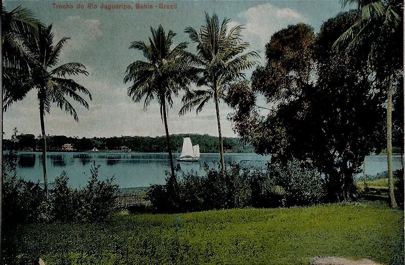 Bahia - Salvador - Trecho do Rio Jaguaripe - Cartão Postal Antigo Original, Não Circulado