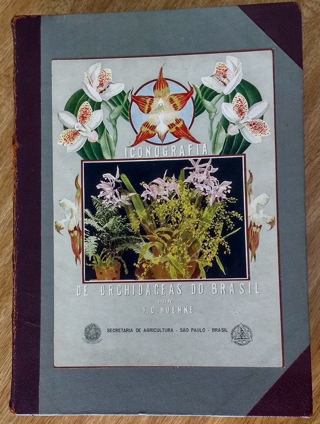 Iconografia de Orchidáceas do Brasil, 1949  - Raro - Orquídeas
