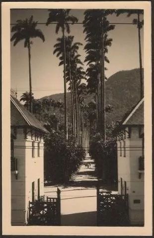 Rio De Janeiro - Jardim Botanico, Turismo Carioca - Cartão Postal Antigo Original, Fotográfico