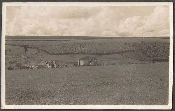 São Paulo - Fazenda Em Araraquara - Cartão Postal Fotográfico Antigo, Original