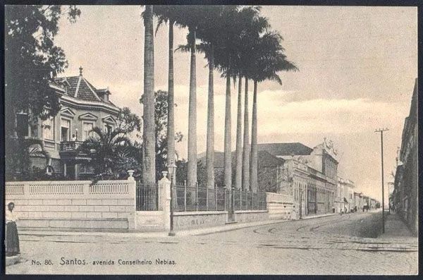 Santos - Av. Conselheiro Nebias  - Cartão Postal Antigo, Tipográfico Original