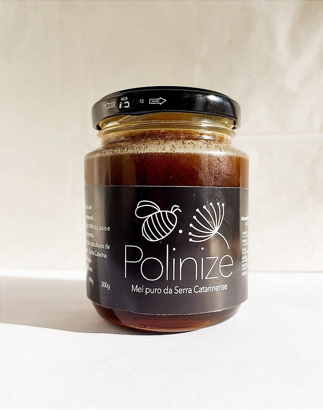 Mel Funcional 300g - Polinize