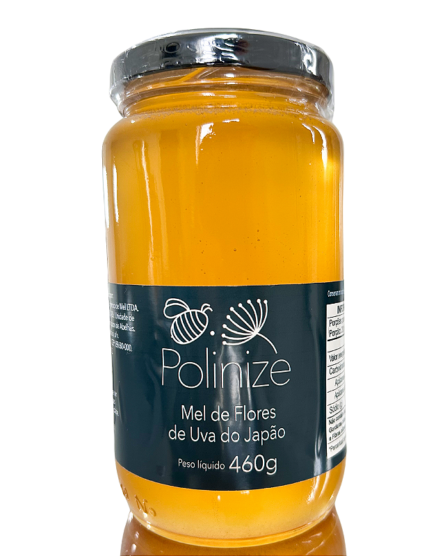Mel Florada Uva do Japão 460g - Polinize
