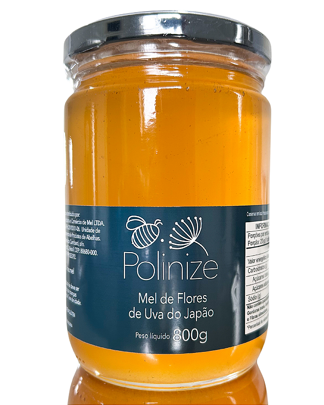 Mel Florada Uva do Japão 800g - Polinize