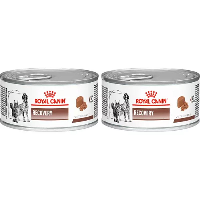 Royal Canin Recovery Lata 195g Kit Com 2 Latas - O seu pet shop no