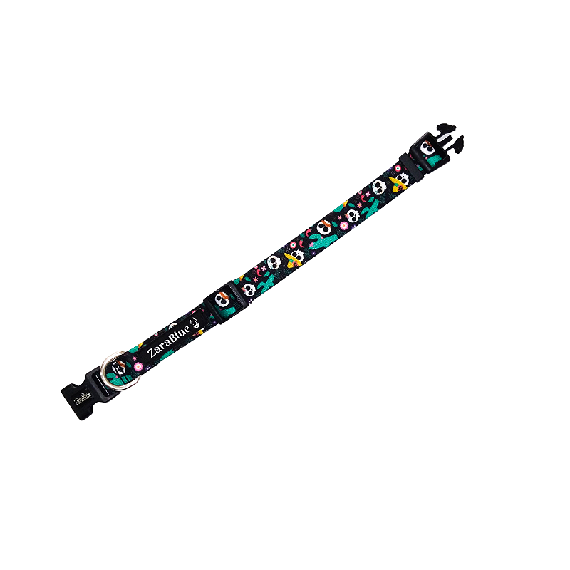 Coleira para Cachorro Guadalupe