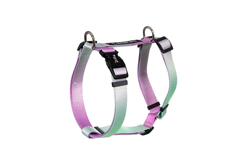 Peitoral H para Cachorro e Gato ZaraBlue Allgrem