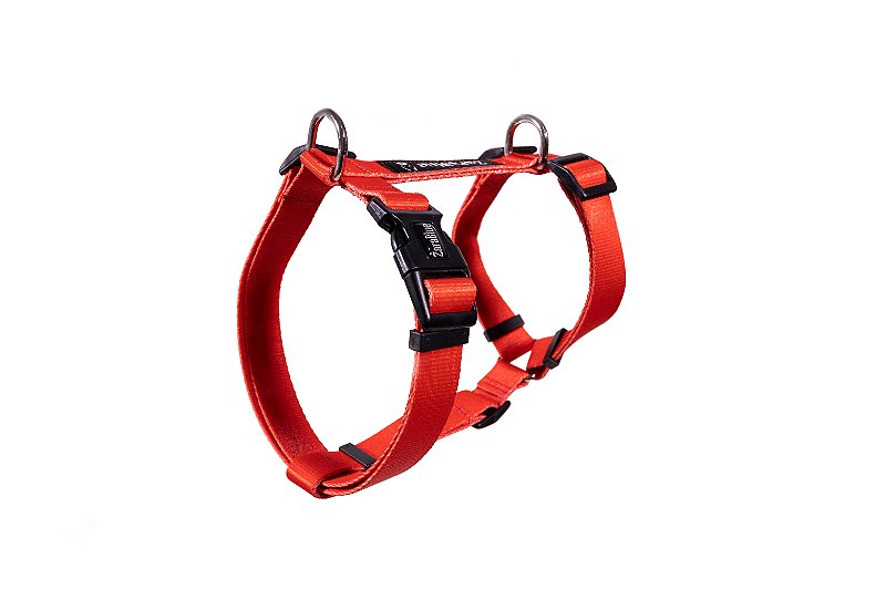 Peitoral H para Cachorro e Gato Red ZaraBlue