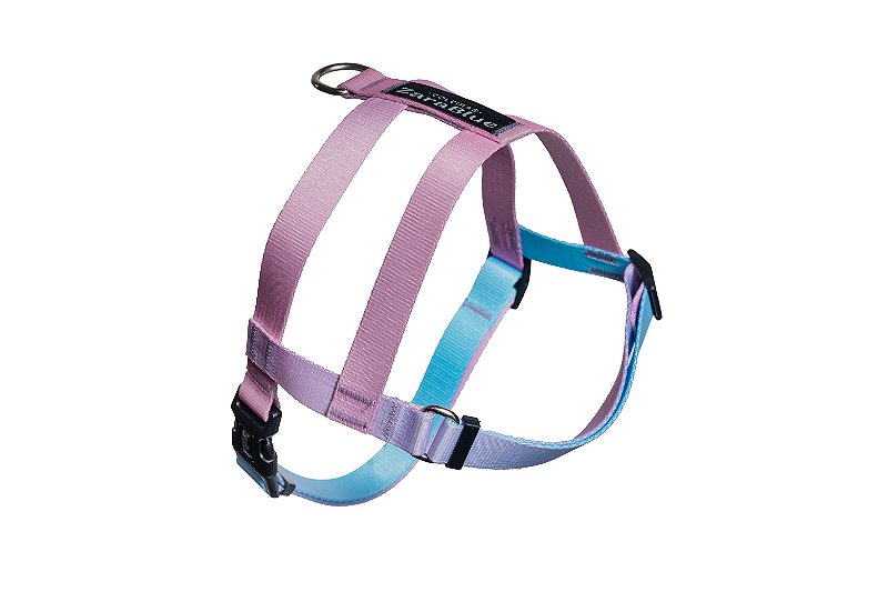 Peitoral Easy para Cachorro Cloe ZaraBlue