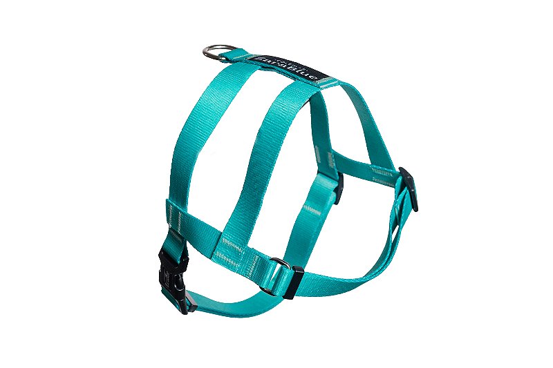 Peitoral Easy para Cachorro Turquesa ZaraBlue