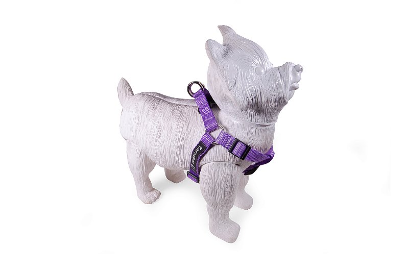 Peitoral Americano para Cachorros Lilás ZaraBlue