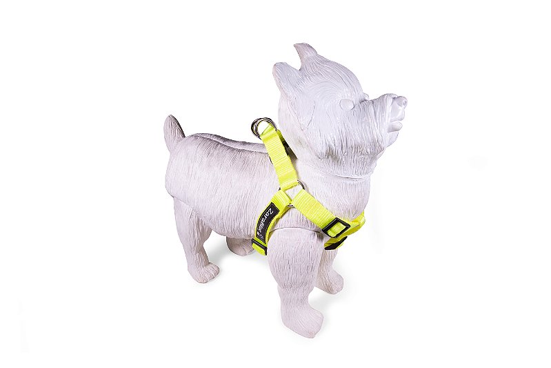 Peitoral Americano para Cachorros Neon ZaraBlue