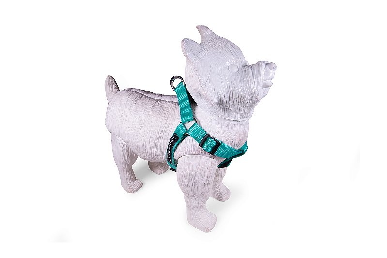 Peitoral Americano para Cachorros Turquesa ZaraBlue