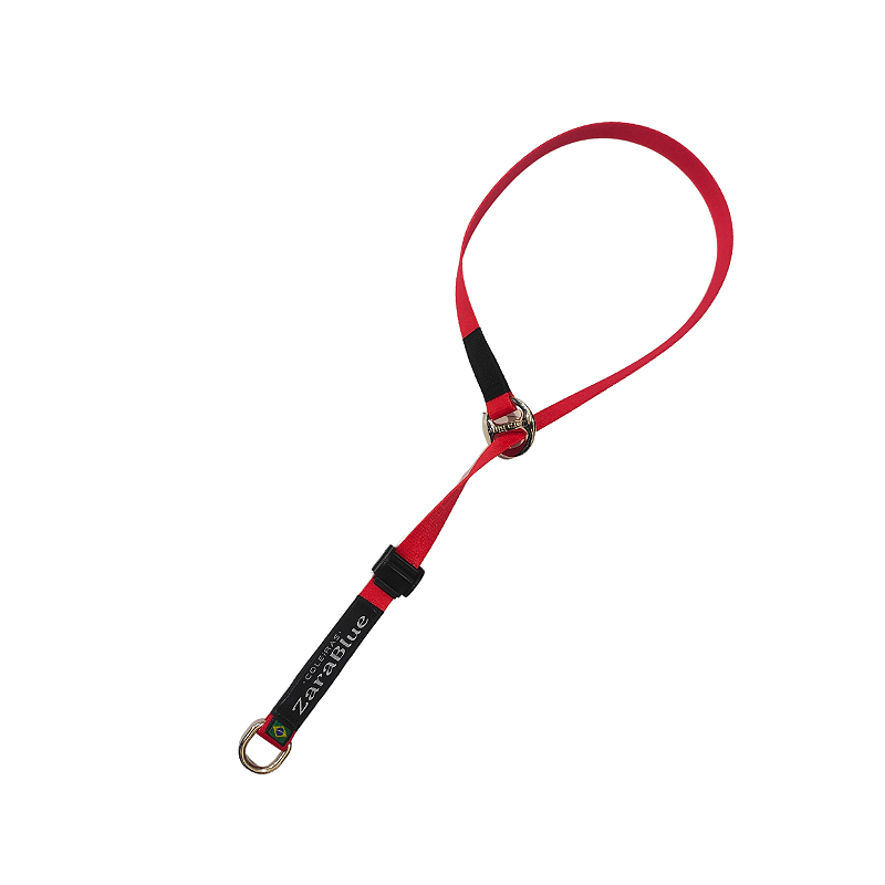 Colar de Adestramento para Cachorro Red com Argola Anti-torção Resistente ZaraBlue