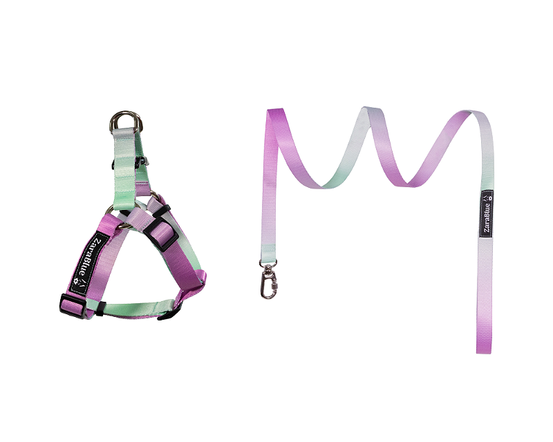 Kit Peitoral Americano e Guia de 1,30 metros para Cachorros Cor Allgrem - Brinde Plaquinha Personalizada