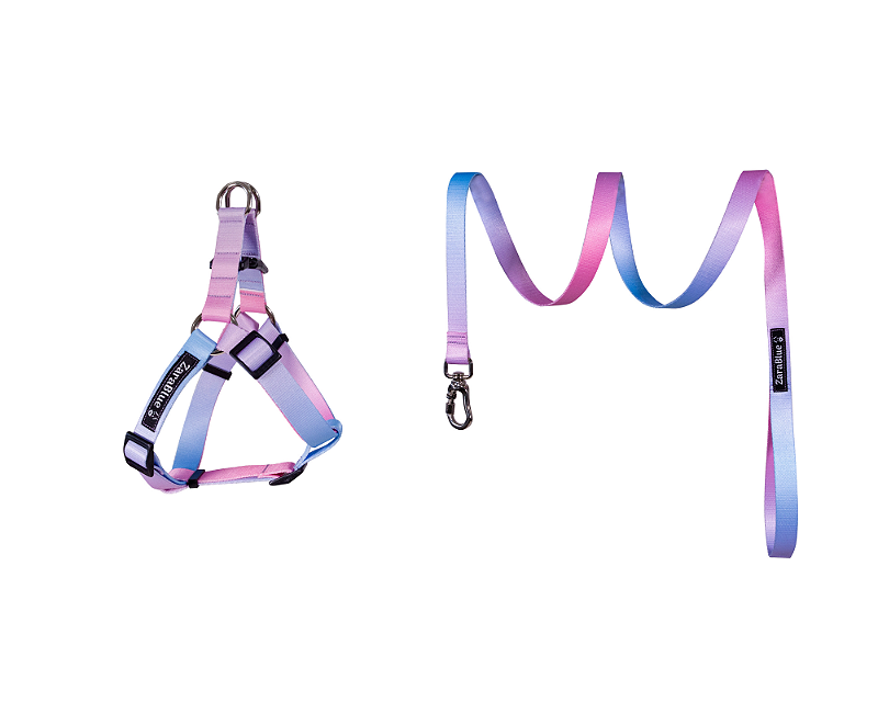 Kit Peitoral Americano e Guia de 1,30 metros para Cachorros Cor Cloe - Brinde Plaquinha Personalizada