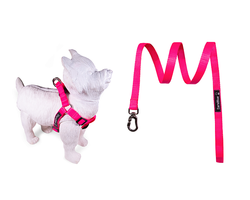Kit Peitoral Americano e Guia de 1,30 metros para Cachorros Cor Pink - Brinde Plaquinha Personalizada