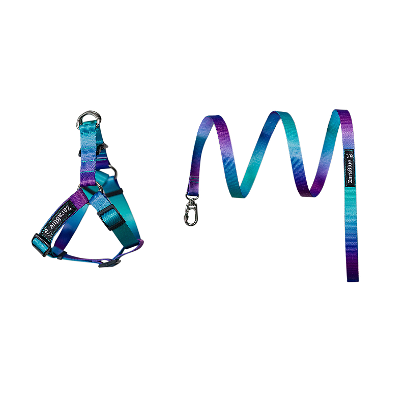 Kit Peitoral Americano e Guia de 1,30 metros para Cachorros Cor Pollar - Brinde Plaquinha Personalizada