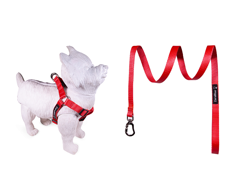 Kit Peitoral Americano e Guia de 1,30 metros para Cachorros Cor Red - Brinde Plaquinha Personalizada