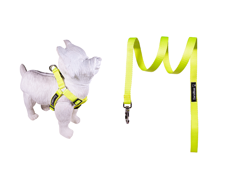 Kit Peitoral Americano e Guia de 1,30 metros para Cachorros Cor Neon Verde - Brinde Plaquinha Personalizada