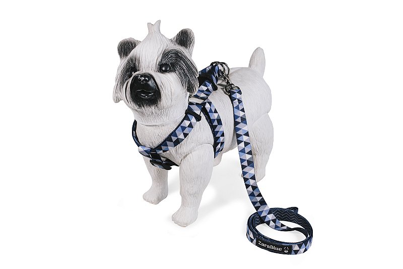 Kit Peitoral Americano e Guia de 1,30 metros para Cachorros Cor Lumix Azul - Brinde Plaquinha Personalizada