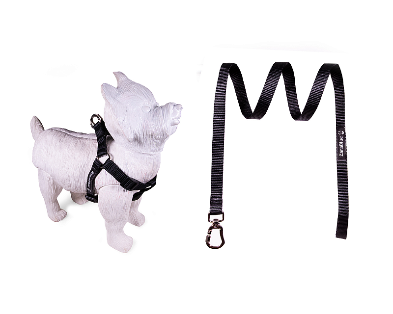 Kit Peitoral Americano e Guia de 1,30 metros para Cachorros Cor Black - Brinde Plaquinha Personalizada