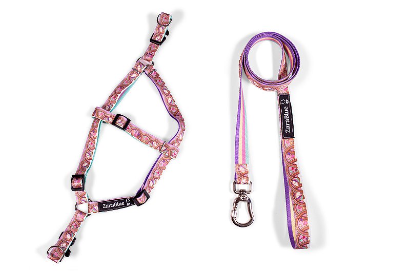 Kit Peitoral Americano e Guia de 1,30 metros para Cachorros Cor Unicórnio - Brinde Plaquinha Personalizada