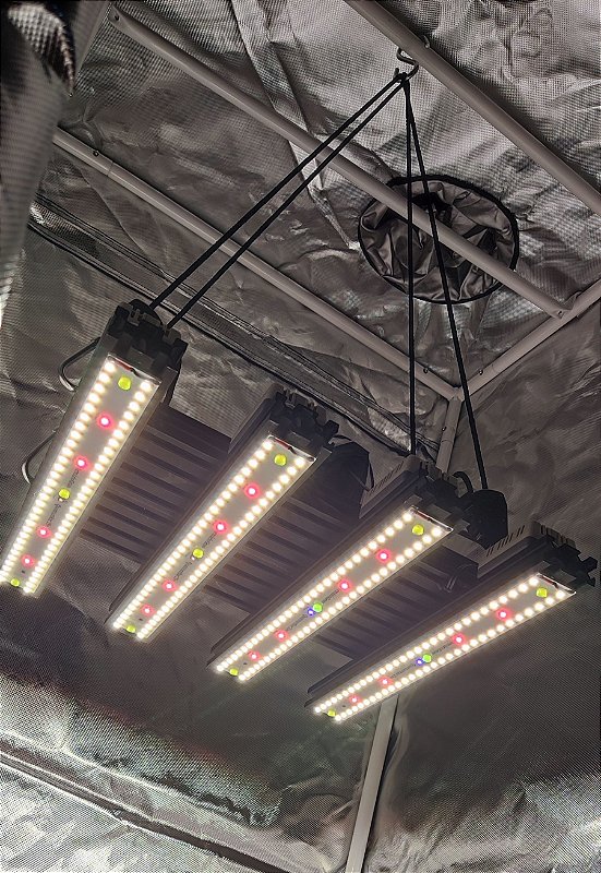 Quantum Board Quattro EVO