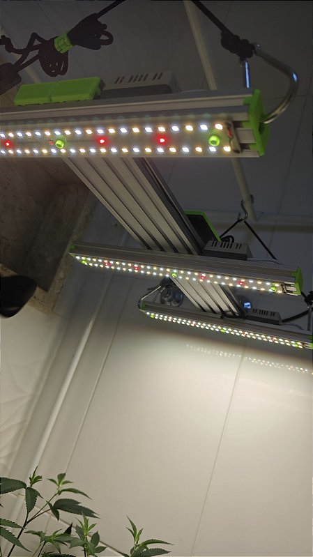 Quantum Bar TRI Space lm301h EVO