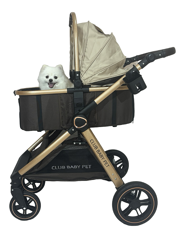 Carrinho de passeio PET Europeu Golden Club Baby 3 em 1 Dourado e Marrom