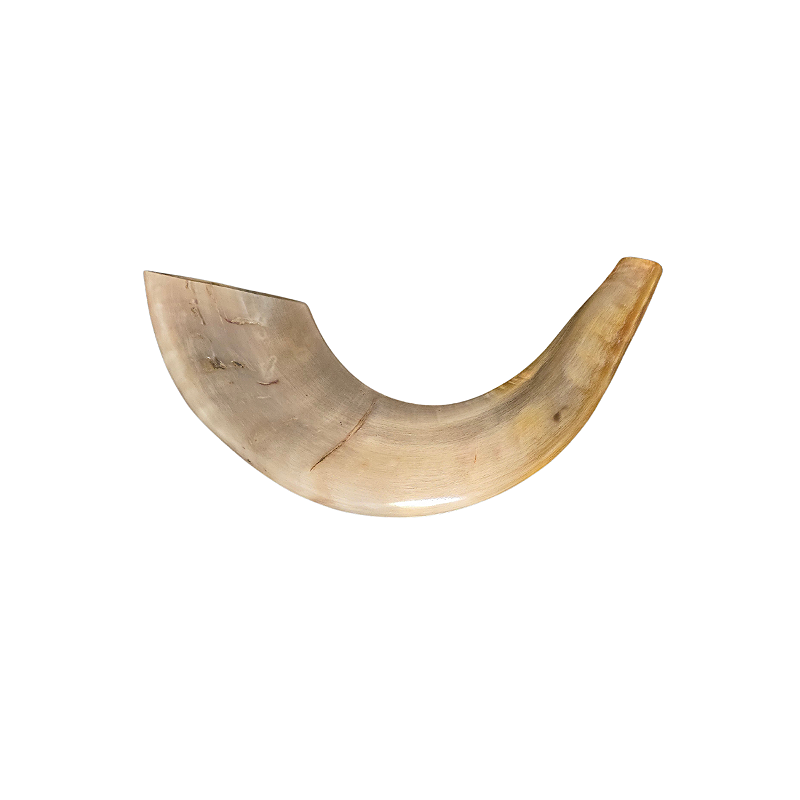 Shofar Kosher - Importado de Israel C3 - Davar - Artigos judaicos