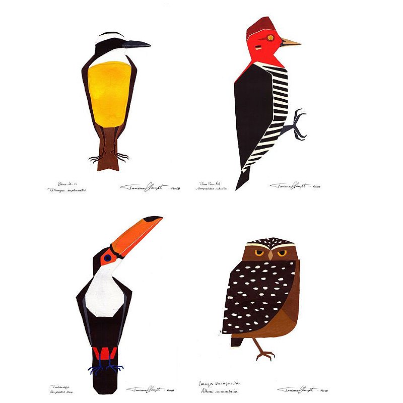 Conjunto de Reproduções "PÁSSAROS BRASILEIROS"