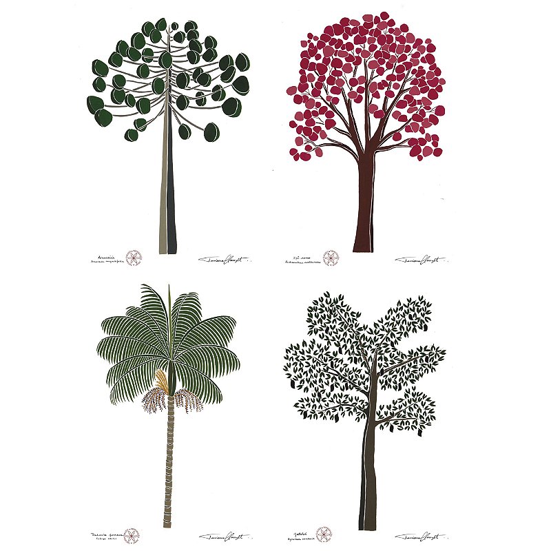 Conjunto de Reproduções "ÁRVORES BRASILEIRAS - SÉRIE II"