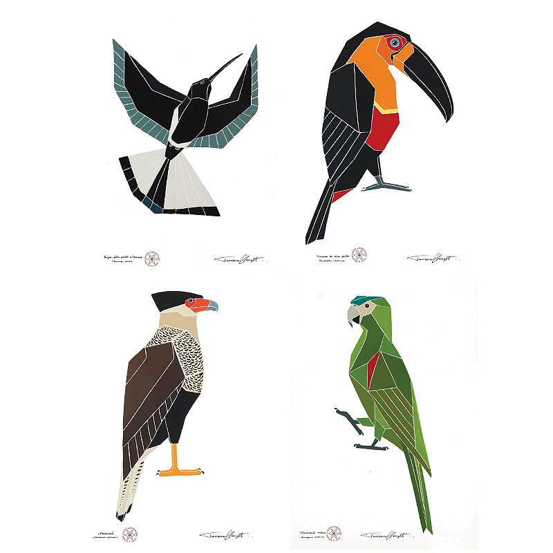 Conjunto de Reproduções "AVES BRASILEIRAS - SÉRIE TROPICAL"