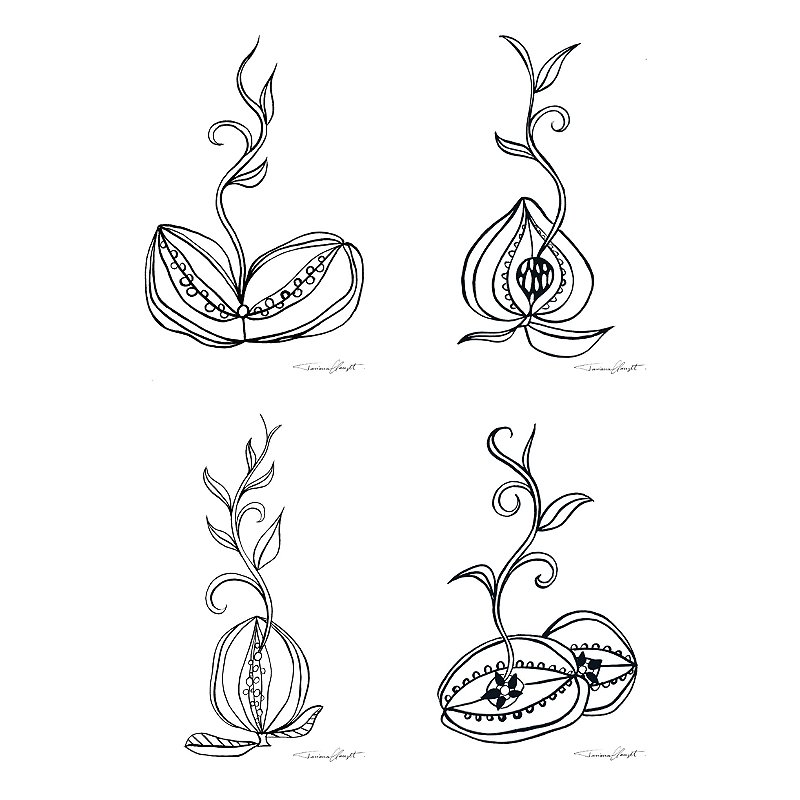 Conjunto de Reproduções "SEMENTES"