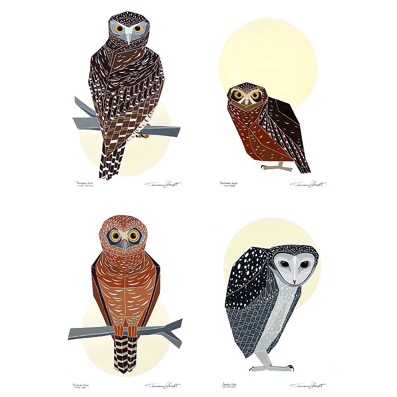 Conjunto de Reproduções "CORUJAS DO MUNDO"