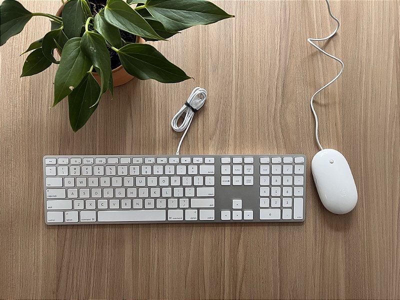 Apple Keyboard + Apple Magic Mouse - Curitiba e online - Território Tech
