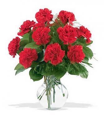 Bouquet de Cravos Vermelhos - Camélia Flores | Floricultura, Paisagismo e  Entrega de Flores Online - RJ