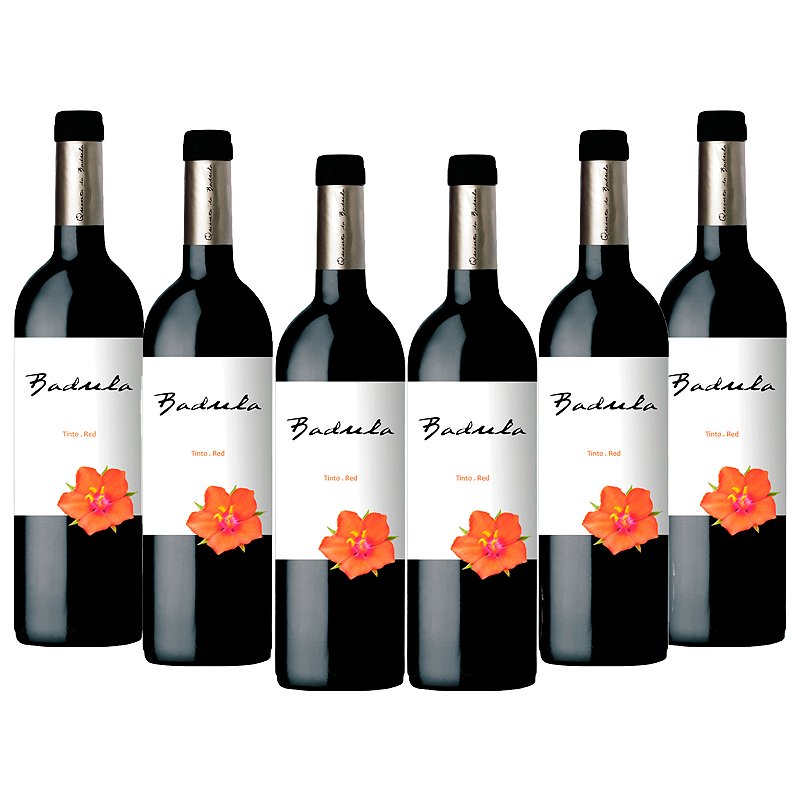 Caixa Badula Tinto 2019 com 6 Garrafas | Vinho Português - eVintage ...