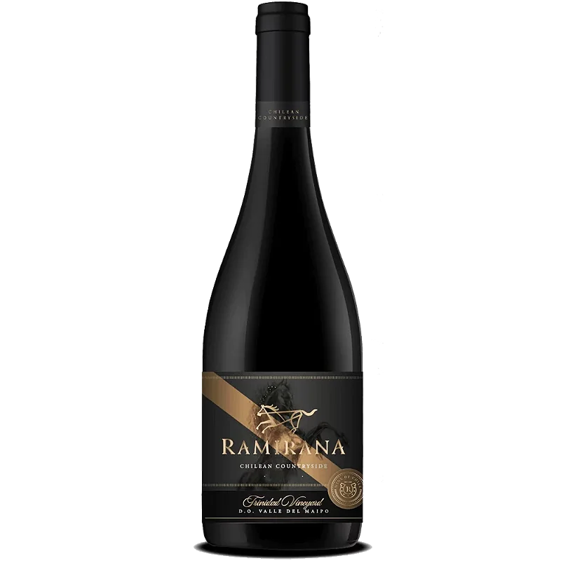 Vinho Ventisquero Tinto Seco Chile Ramirana Cabernet Sauvignon, Carménère, Syrah 2020 750ml
