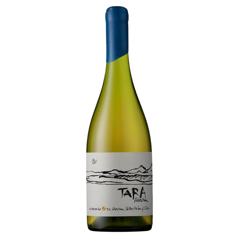 Vinho Ventisquero Branco Seco Chile Tara Chardonnay 750ml