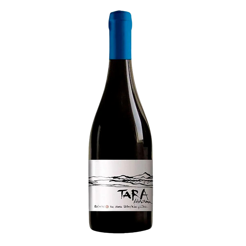 Vinho Ventisquero Tinto Seco Chile Tara Pinot Noir 2023 750ml