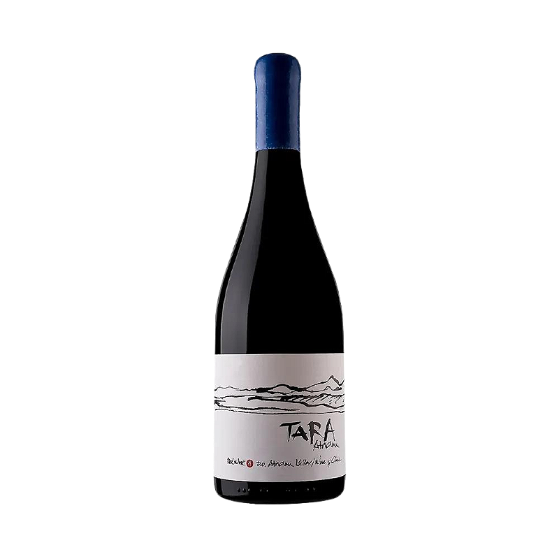 Vinho Ventisquero Tinto Seco Chile Tara Syrah 2023 750ml