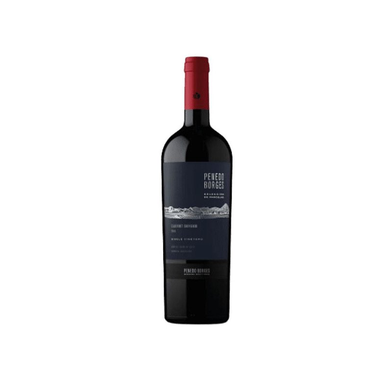Vinho Penedo Borges Tinto Seco Argentina Selección Parcelas Cabernet Sauvignon 750ml