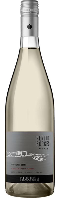 Vinho Penedo Borges Branco Seco Argentina Sauvignon Blanc 750ml