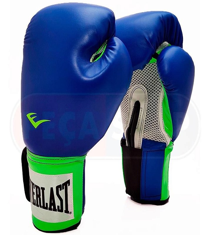 Everlast Premium Muay Thai Training Gloves