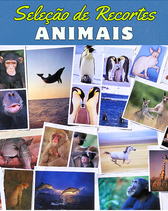 Seleção de Recortes - ANIMAIS
