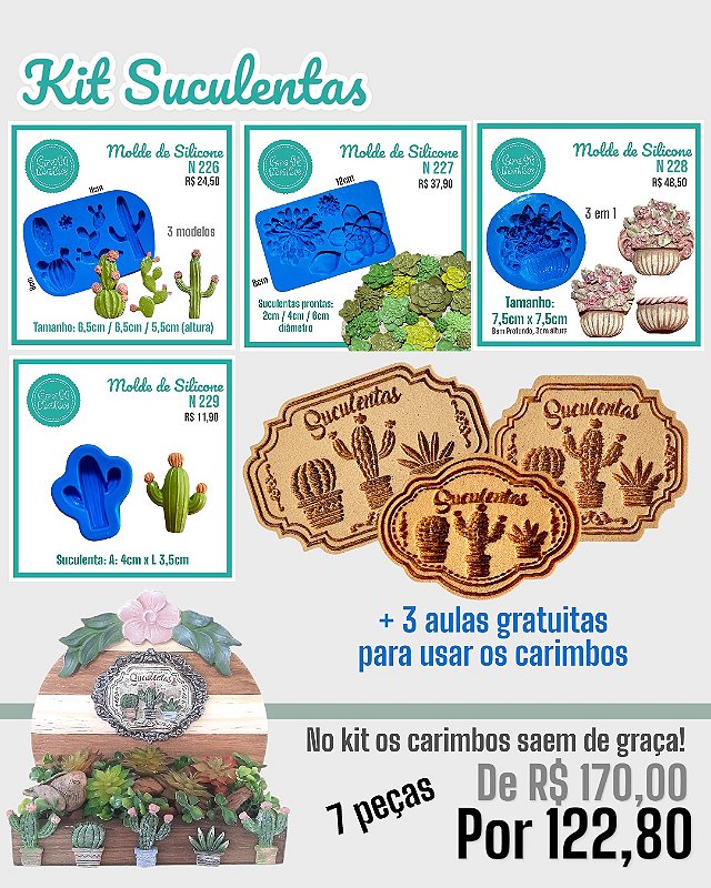 Kit Suculentas - 7 peças