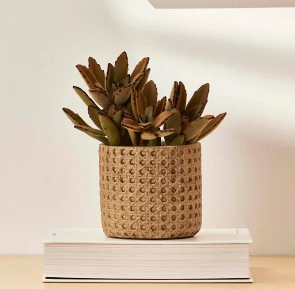 Cachepô com Textura de Palha