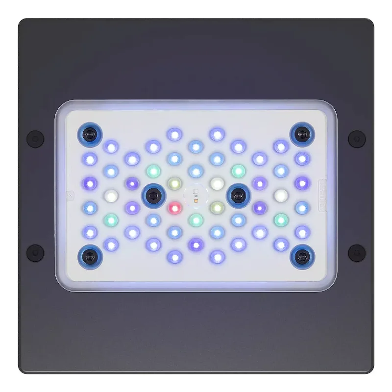 Radion G6 XR15 Pro&ハンキングセット Radion G6 XR15 Pro&ハンキングセット Radion LED Hanging Kit - Bulk